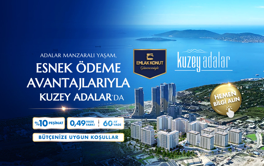 Projeler
